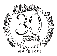 sheena & the rokkets 30th anniversary 1978-2008